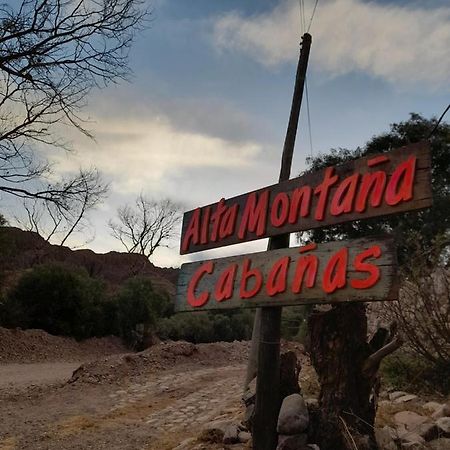 Отель Alta Montana Cabanas Тилькара Экстерьер фото